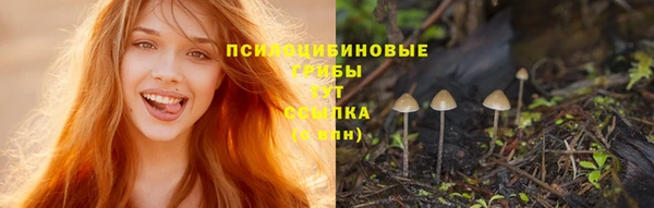 скорость Сатка